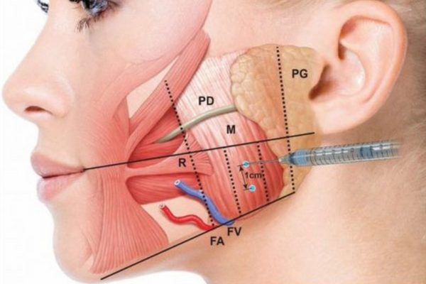 7. Lời khuyên từ các chuyên gia