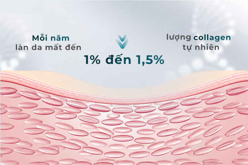 Collagen suy giảm mỗi năm